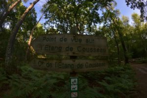 etang-de-cousseau-reserve-naturelle-etang-de-cousseau-randonnee-nature-balade-carcans-lacanau-verdure-les-ptits-touristes-blog-voyage