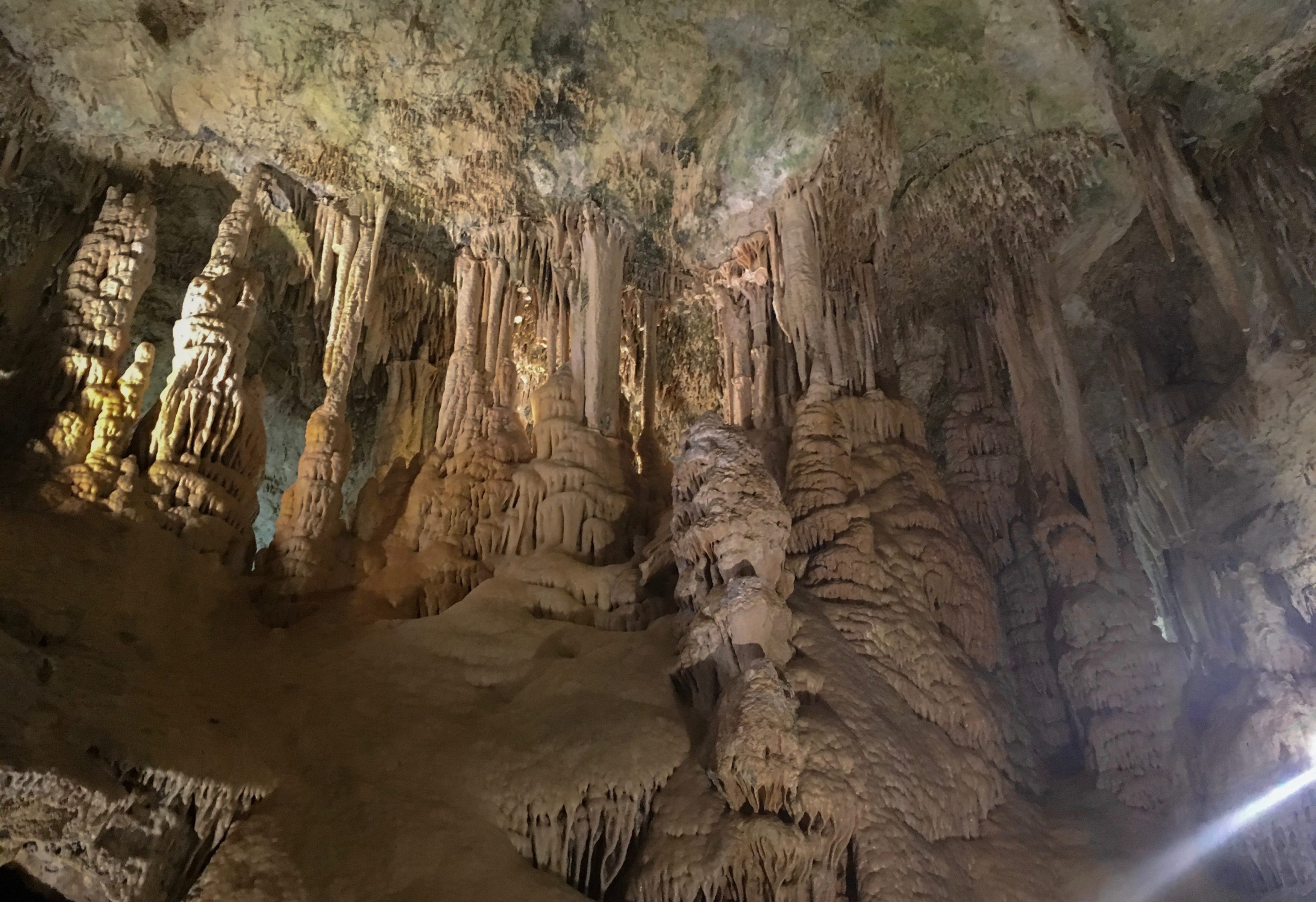 monaco-grotte-jardin-exotique-une-semaine-a-nice-blog-voyage-les-ptits-touristes
